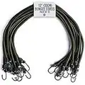 Pluvios Robusto 10 Pacco Corde Elastiche Bungee Resistenti Campeggio Bivvy Bivi Conservazione Fai da Te Multiuso - 2 Anni di Garanzia