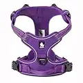 TrueLove Dog Harness TLH5651 No-pull Reflective Stitching Ensure Night Visibility, Outdoor Adventure Big Dog Harness Perfect Match Puppy Vest Now Available (Purple,S)