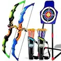 TOY Life 2 Pack Bow and Arrow for Kids 4-6-8-12-14 Years Old, Outside Outdoor Toys Games for Kids, Kids Bow and Arrow Set with LED Lights, Archery Set with Standing Target, 20 Suction Cup Arrows