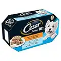 Cesar 10+ Wet Dog Food for Senior Dogs, Meaty Selection in Jelly, 4 x 150 g, 4 Trays