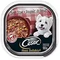 CESAR Home Delights Wet Dog Food - Beef Stew - 100g (24 Pack)