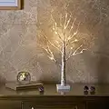 EAMBRITE White Christmas Tree with Lights Mini Birch Twig Tree Ornament with 24 Warm White LEDs Battery Operated Tabletop Decoration for Christmas Home Party Wedding (60cm/2ft)