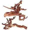 majoywoo Natural Large Coral Driftwood for Aquarium Decor Reptile Decor, Assorted Driftwood Branch 9-14" 2 Pcs, Fish Tank Decoration…