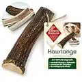 ChronoBalance® Antler Chew Stick (dividido por la mitad) para perros, 100% asta de ciervo como juguete para perros de larga duración, cuidado dental, hueso para masticar, asta para masticar, hueso para perros, a partir de palos de descarte recogidos. (XXL)