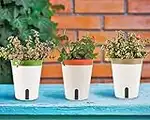 LATERN 3Pcs Self Watering Planter Pot, 14.5CM Round Plastic Plant Pot Garden Flower Bonsai Pots for Aloe Herb Orchid Succulent Plants - with Water Level Window and Drainage Hole Hidden Tray