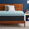 Lucid 3 Inch Gel Memory Foam Plush - Cooling Targeted Convoluted Comfort Zones Mattress Topper, Twin XL