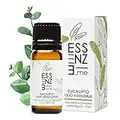 ESSENZE OLIO ESSENZIALE DI EUCALIPTO Puro al 100% Naturale, Profumo Ambiente Aromaterapia Per Diffusori, INCI Eucalyptus Globulus Leaf Twig Oil. Controllato e Confezionato in ITALIA.