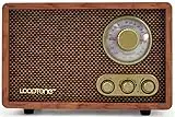 LoopTone AM FM Vintage Radio with Bluetooth Play Mp3,Retro Wood Table Radio for Kitchen Living Room with Rotary Knob