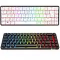 KLIM Shift Wireless Mechanical Keyboard - 2023 Version - Hotswap TKL RGB w/Extra 68 Keycap Set - Backlit Mini Gaming Keyboard - 2.4 GHz Wireless & Bluetooth Keyboard - 60 Percent Keyboard - PC Gamer