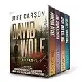 The David Wolf Mystery Thriller Series: Books 1-4 (The David Wolf Series Box Set Book 1)