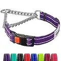 CollarDirect Reflective Dog Collar Martingale Collars Side Release Buckle Chain Training Adjustable Pet Collars (L, Neck Size 17"-22", Purple)