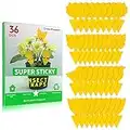 36 Pcs Sticky Traps for Fruit Fly, Whitefly, Fungus Gnat, Mosquito and Bug, Yellow Sticky Insect Catcher Traps for Indoor/Outdoor/Kitchen, Extremely Sticky Fly Trap, Non-Toxic, 4 Shapes