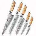 XINZUO Set Cuchillo Cocina 5 Piezas Acero de Damasco,Juego de Cuchillo de Cocinero Afilados Acero en Polvo de Damasco de 73 Capas-Cuchillo Chef Santoku Pan Universal Fruta-Mango de Madera de Olivo