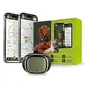 Kippy - GPS per Collare Cani e Gatti Evo - Tracker Salute e attività - GPS Satellitare per Collare GPS Gatto e Cane - GPS Cani Waterproof - Localizzatore con Alert Istantaneo e LED - Verde