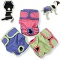 Pack of 3 Female Dog Diapers Cat Waterproof Leak Proof Washable Panties Reusable for Small Medium and Large Pets (XS: Waist 8" - 12")