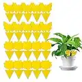 Yellow Sticky Traps, 20 Pcs Sticky Fruit Fly and Plant Gnat Bug Trap for Indoor/Outdoor Use - Insect Catcher for White Flies, Mosquitos, Fungus Gnats, Flying Insects Glue Trappers