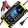 NWOUIIAY Chargeur de Batterie Intelligent Portable 8A 12V/24V avec LCD Tactile Écran Protections Multiples Type de réparation pour Voiture Moto Tondeuse et Bateaux etc.