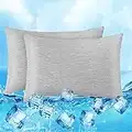 Cooling Pillowcases,Luxear 2 Pack Arc-Chill Cool Pillowcases for Hair and Skin,Anti-Static, Skin-Friendly,Breathable & Machine Washable Queen Pillowcase with Hidden Zipper Q-MAX>0.43(20" x30'' Gray)