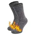 HEATEX Thermosocken mit Kälteschutz Extrem Warm TOG 2.3 Vollfrottee Winter Thermo-Socken Gefüttert (2 Paar) Grau 41-46