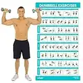 Vive Dumbbell Exercise Poster - Home Gym Workout for Upper, Lower, Full Body - Laminated Bodyweight Chart for Back, Arm, Core and Legs - Free Weight Building Guide For Men, Women, Elderly (30" x 17")