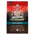 Stella & Chewy's Wild Red Dry Dog Food Raw Coated High Protein Grain & Legume Free Ocean Recipe, 21 lb. Bag