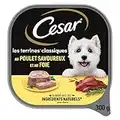 CESAR Repas pour Chien - Lot de 20 barquettes de 300g - Pâtée pour Chien Les Terrine Classiques au Poulet savoureux et au Foie - Nourriture humide pour chien