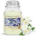 Yankee Candle Scented Candle - Midnight Jasmine Large Jar Candle - Burn Time : Up to 150 Hours