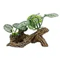 Smoothedo-Pets Aquarium Plants Fish Tank Decorations Betta Rest Soft Silk Leaf/Small Size Plastic Artificial Plant Goldfish Waterscape Fish Hides Snake Tank/Reptiles Plants (Driftwood Type） (CC)