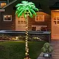 Lighted Palm Tree, 6FT 162 LED Artificial Palm Tree with Coconuts, Tropical Light Up Palm Trees for Home Garden Christmas Party Outdoor Patio Decor
