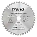 Trend CraftPro Negative Hook Cross-Cutting TCT Circular Saw Blade for Table/Mitre Saws, 250mm x 42 Teeth x 30mm Bore, Tungsten Carbide Tipped, CSB/CC25042