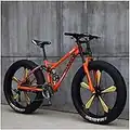 Aoyo 26 Inch,21 SpeedsAdult Beach Sport Bike,Bicycles,High Carbon Steel,Fat Tire,Mountain Trail Bike,Double Disc Brake,Dual-Suspension,For Men Women Universal, (Color : Orange)