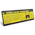 BOOGIIO Large Print Computer Keyboard, Wired USB High Contrast Keyboard with Oversized Print Letters for Visually Impaired Low Vision Individuals (Yellow+Black)