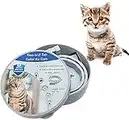 Collar de pulgas y garrapatas de KOOLTAIL para gatos de 8 meses de protección antipulgas y tratamiento eficaz de longitud ajustable para gatitos y gatos