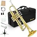 Vangoa Bb Trumpet Brass Standard Gold Trumpet Instrument for Student School Band Orchestra Adult Kid Beginner with Hard Case, Stand, Cleaning Kit, White Gloves, Valve Oil and 7C Mouthpiece