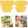 Buauty fly trap 20 Pcs, Yellow Fly Paper Stickers catcher fruit fly traps indoor Non-Toxic and Eco-Friendly fungus gnat killer for Multiple Insect