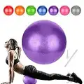 Gymnastikball Klein Pilates Ball 22cm Pilatesball Gymnastikbälle Kinder Fitnessball Yogaball Fitball Schwangerschaftsball Sitzball Therapiebedarf Balancegeräte für Yoga Gymnastik Gym Exercise Fitness