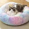 Raimaiso Anti Anxiety Round Fluffy Plush Faux Fur Warm Washable Dog Bed & Cat Bed, Original Bed for Small Medium Large Pets,Used to Relieve Joints and Improve Sleep（20"/24"/27''） (20", Rainbow)