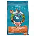 Purina ONE Natural Dry Cat Food, Chicken and Rice 1.59kg Bag