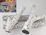 Birch Gas Fire Log Set – 4 Realistic, Highly Detailed Ceramic Logs – For Gas Fires, Electric Fires And Fire Pits – Firebrand Direct