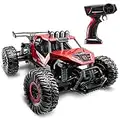 ANTAPRCIS Ferngesteuertes Auto, 50 Minuten Spielzeit RC Flitzer Auto mit 2 Batterien, 1:16 RC Car Geländewagen Off-Road Auto, Geschenk für Kinder 6-12 Jahre Anfänger