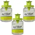 RESCUE! Outdoor Fly Trap - Reusable - 3 Traps