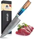 oFuun Cuchillo Cocina Damasco, 20cm Cuchillo Chef Japones de Acero Damasco de 67 Capas, Mango de Resina Azul, Cuchillo de Cocinero Profesional para Cortar Verdura, Fruta, Carne y Pescado