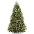 National Tree Company Pre-Lit Artificial Full Christmas Tree, Green, Dunhill Fir, White Lights, Includes Stand, 9 Feet