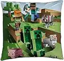 Generico Coussin d'ameublement 40 x 40 cm doux avec rembourrage 100 % polyester pour Minecraft