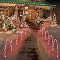 LAMPHOME 17''160 LED (10x16LED) Twinkle Arch Lawn Stake Light , Set of 10 Candy Cane Arch Outdoor Christmas Pathway Markers (RED+White)