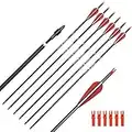 ELONG OUTDOOR 6PCS Flechas de 28 Pulgadas para Arcos compuestos, Flechas de Caza de Carbono para Tiro con Arco Recurve Bows Spine 500 con 100 Puntas de Tornillo de Grano