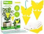 EcoCanucks Sticky Traps (20 Pack) | Sticky Fruit Fly Traps & Gnat Traps | Fungus Gnats, Fruit Flies, Mosquitoes, Flying Insects, Yellow Sticky Insect Traps | Disposable Glue Traps