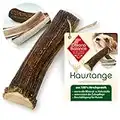 ChronoBalance® Antler Chew Stick (dividido por la mitad) para perros, 100% asta de ciervo como juguete para perros de larga duración, cuidado dental, hueso para masticar, asta para masticar, hueso para perros, a partir de palos de descarte recogidos. (M)