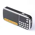 Leting Portable Mini USB FM Radio Speaker Music Player Micro SD/TF Card for PC iPod Phone (Black)