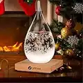 Storm Glass Weather Forecaster, Water Drop Shaped Glass Weather Predictor Barometer Weather Station, Decorative Bottles for Home Office Living Room, Christmas Family Friend Gifts for Her(Large)